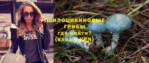 2c-b Бронницы