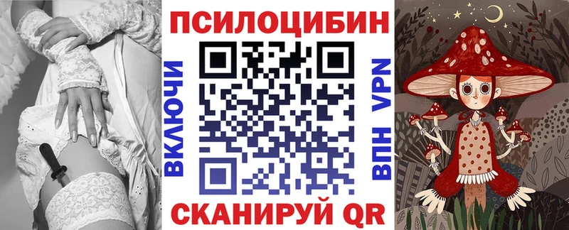 Купить где  Сельцо  Псилоцибиновые грибы прущие грибы 